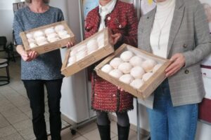 631313012_1561947341706690_3225569763418082475_n