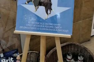 633547449_1390290429566268_2263593531473993932_n